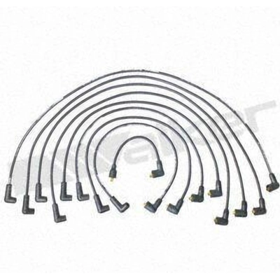 Tailored Resistor Ignition Wire Set by WALKER PRODUCTS - 924-1510 pa2