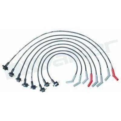 Tailored Resistor Ignition Wire Set by WALKER PRODUCTS - 924-1605 pa2