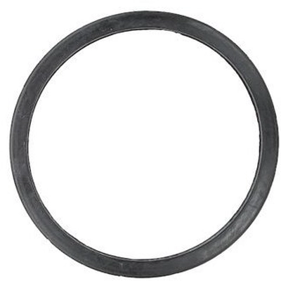 MOTORAD - MG172 - Engine Coolant Thermostat Seal pa1