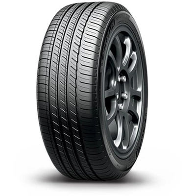 Primacy All Season by MICHELIN - 17" Tire (225/65R17) pa1