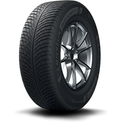 WINTER 19" Pneu 255/55R19 by MICHELIN pa2