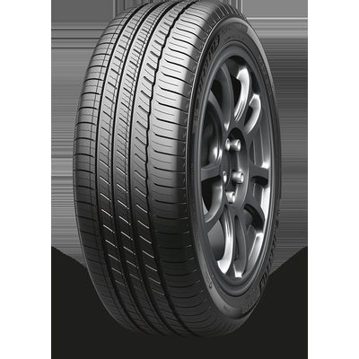 ALL SEASON 19" Tire 245/45R19 by MICHELIN pa1