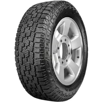 ALL SEASON 17" Tire 225/65R17 by PIRELLI pa2