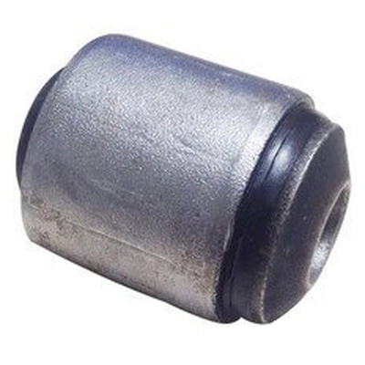 SUSPENSIA CHASSIS - X07BU0020 - Control Arm Bushing pa1