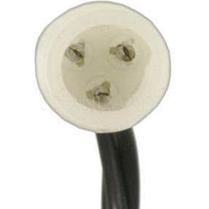 Courtesy Lamp Connector by BLUE STREAK (HYGRADE MOTOR) pa3