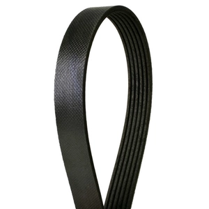 Serpentine Belt by CONTINENTAL pa1