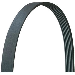 Serpentine Belt by DAYCO pa3