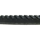 Purchase Top-Quality CONTINENTAL - 15366 - Serpentine Belt - Automotive V-Belt pa3