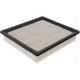 Purchase Top-Quality Air Filter by DEFENSE pa1