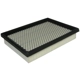 Purchase Top-Quality Air Filter by ECOGARD - XA4880 pa1