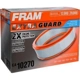 Purchase Top-Quality Air Filter by FRAM pa3