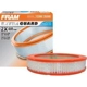 Purchase Top-Quality Air Filter by FRAM pa2