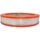 Purchase Top-Quality Air Filter by FRAM pa4