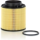 Purchase Top-Quality MANN-FILTER - C16-114/2X - Engine Filtre à air pa1