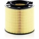 Purchase Top-Quality MANN-FILTER - C17-013 - Filtre à air pa4