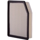 Purchase Top-Quality PREMIUM GUARD - PA99506 - Filtre à air pa1