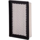 Purchase Top-Quality PRONTO FILTERS - PA3192 - Air Filter pa1