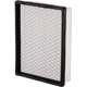 Purchase Top-Quality PRONTO FILTERS - PA3590 - Air Filter pa2