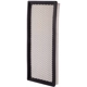 Purchase Top-Quality PRONTO FILTERS - PA5089 - Air Filter pa4