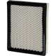 Purchase Top-Quality Filtre à air by PRONTO FILTERS - PA5396 pa5