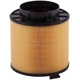 Purchase Top-Quality PRONTO FILTERS - PA5813 - Air Filter pa4