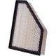 Purchase Top-Quality PRONTO FILTERS - PA5897 - Air Filter pa4