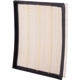 Purchase Top-Quality PRONTO FILTERS - PA5900 - Air Filter pa2