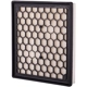 Purchase Top-Quality PRONTO FILTERS - PA6130 - Air Filter pa2