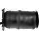 Purchase Top-Quality DORMAN - 949-050 - Air Suspension Spring pa4