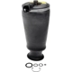 Purchase Top-Quality DORMAN - 949-250 - Air Suspension Spring pa1