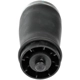 Purchase Top-Quality DORMAN - 949-951 - Air Suspension Ressort à air pa2