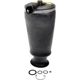 Purchase Top-Quality DORMAN (OE SOLUTIONS) - 949-250 - Ressort à air pa9