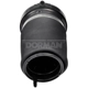 Purchase Top-Quality Ressort à air by DORMAN (OE SOLUTIONS) - 949987 pa5