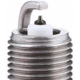 Purchase Top-Quality AUTOLITE - AP5325 - Autolite Platinum Plug pa3