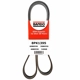 Purchase Top-Quality Ceinture by BANDO USA - 8PK1395 pa1