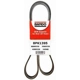 Purchase Top-Quality Ceinture by BANDO USA - 8PK1395 pa3