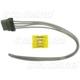 Purchase Top-Quality Body Harness Connector by BLUE STREAK (HYGRADE MOTOR) - S1352 pa11