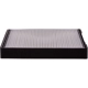 Purchase Top-Quality PRONTO FILTERS - PC5662 - Cabin Air Filter pa4