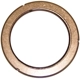 Purchase Top-Quality Cam Bearing by CLOYES GEAR INC pa1