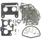 Purchase Top-Quality Carburetor Kit by STANDARD - PRO SERIES pa1