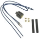 Purchase Top-Quality Connecteur by BLUE STREAK (HYGRADE MOTOR) - S1923 pa2