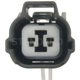 Purchase Top-Quality Connecteur by BLUE STREAK (HYGRADE MOTOR) - S973 pa1