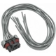 Purchase Top-Quality Connecteur du module de commande by BLUE STREAK (HYGRADE MOTOR) - S1207 pa56