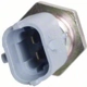 Purchase Top-Quality Coolant Temperature Sensor by BLUE STREAK (HYGRADE MOTOR) - TS603 pa18