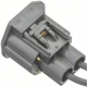 Purchase Top-Quality Courtesy Lamp Connector by BLUE STREAK (HYGRADE MOTOR) pa12