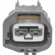 Purchase Top-Quality Courtesy Lamp Connector by BLUE STREAK (HYGRADE MOTOR) pa9