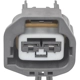 Purchase Top-Quality Courtesy Lamp Connector by STANDARD - PRO SERIES pa4