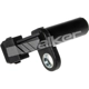 Purchase Top-Quality Capteur de position de manivelle by WALKER PRODUCTS - 235-1031 pa4