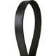 Purchase Top-Quality Courroie Serpentine by BLACKBELT - K061033 1