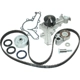 Purchase Top-Quality Timing Belt Kit With Water Pump by INA - 530-0082-300 3